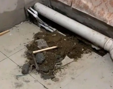 博野卫生间漏水检测哪家好